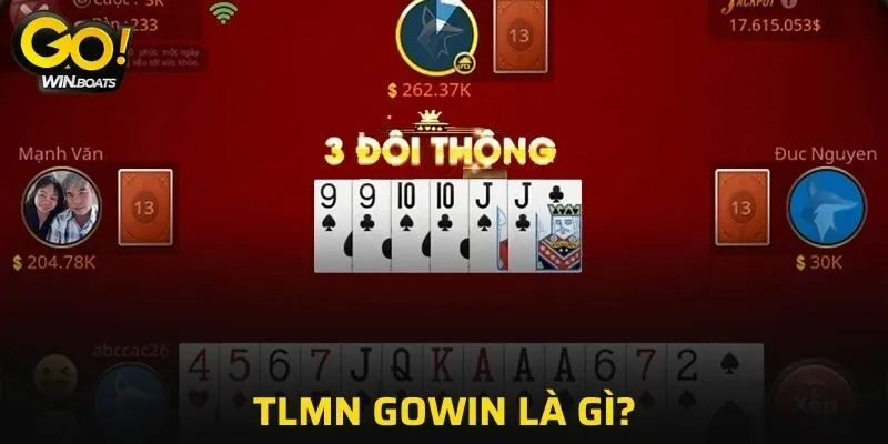 Những điều cơ bản về TLMN GOWIN